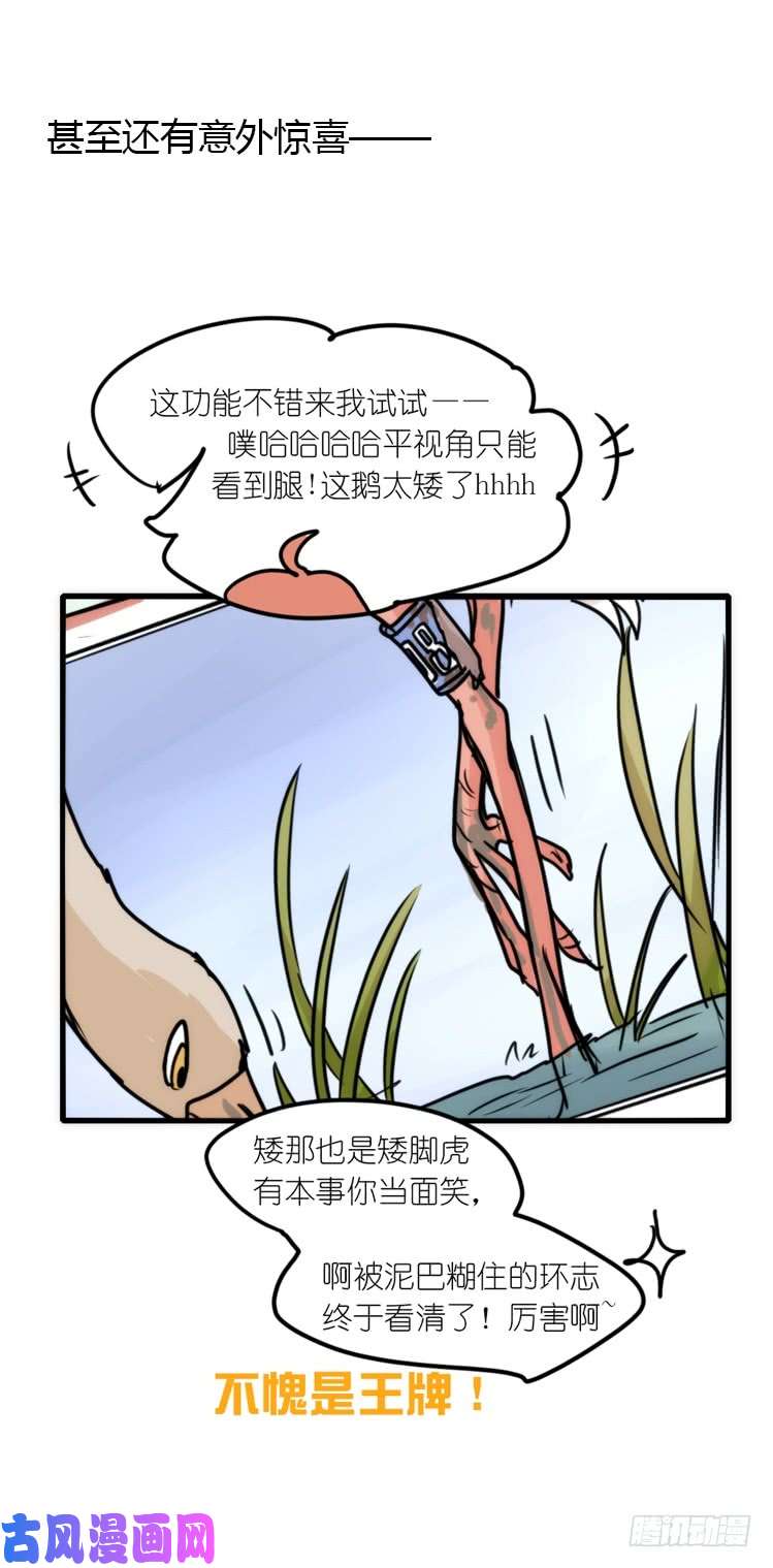 进化之基使命篇14：科学观鸟法