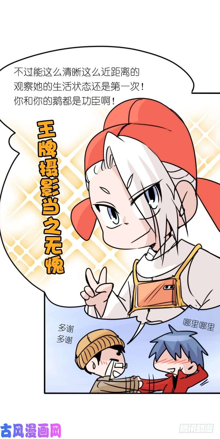进化之基使命篇14：科学观鸟法