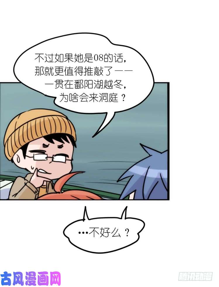 进化之基使命篇14：科学观鸟法