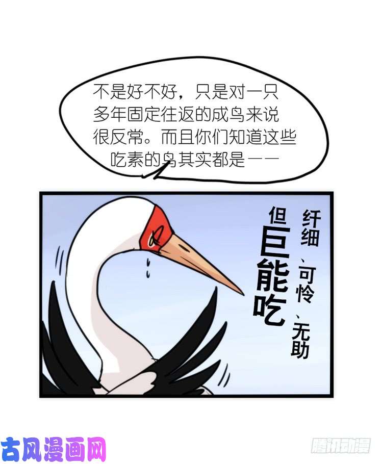 进化之基使命篇14：科学观鸟法