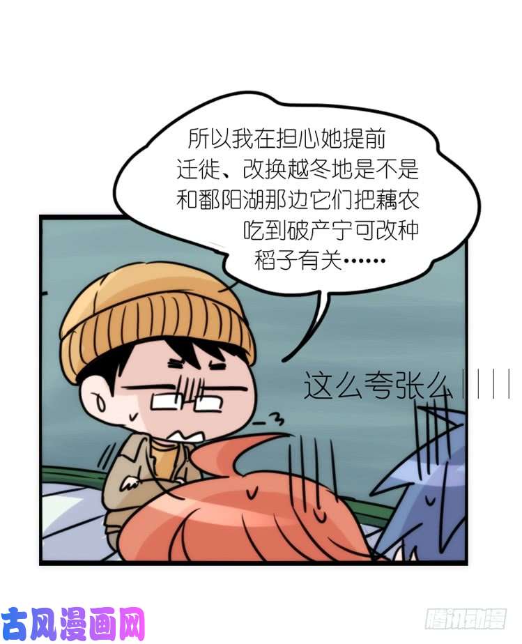 进化之基使命篇14：科学观鸟法