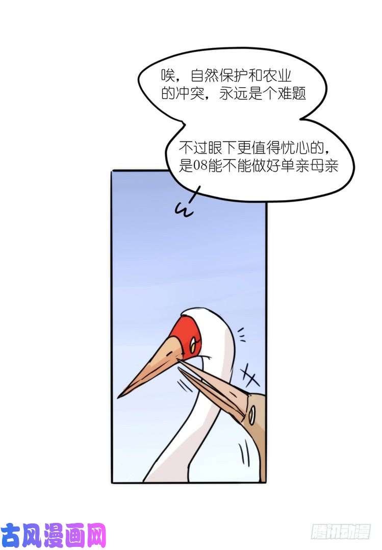 进化之基使命篇14：科学观鸟法