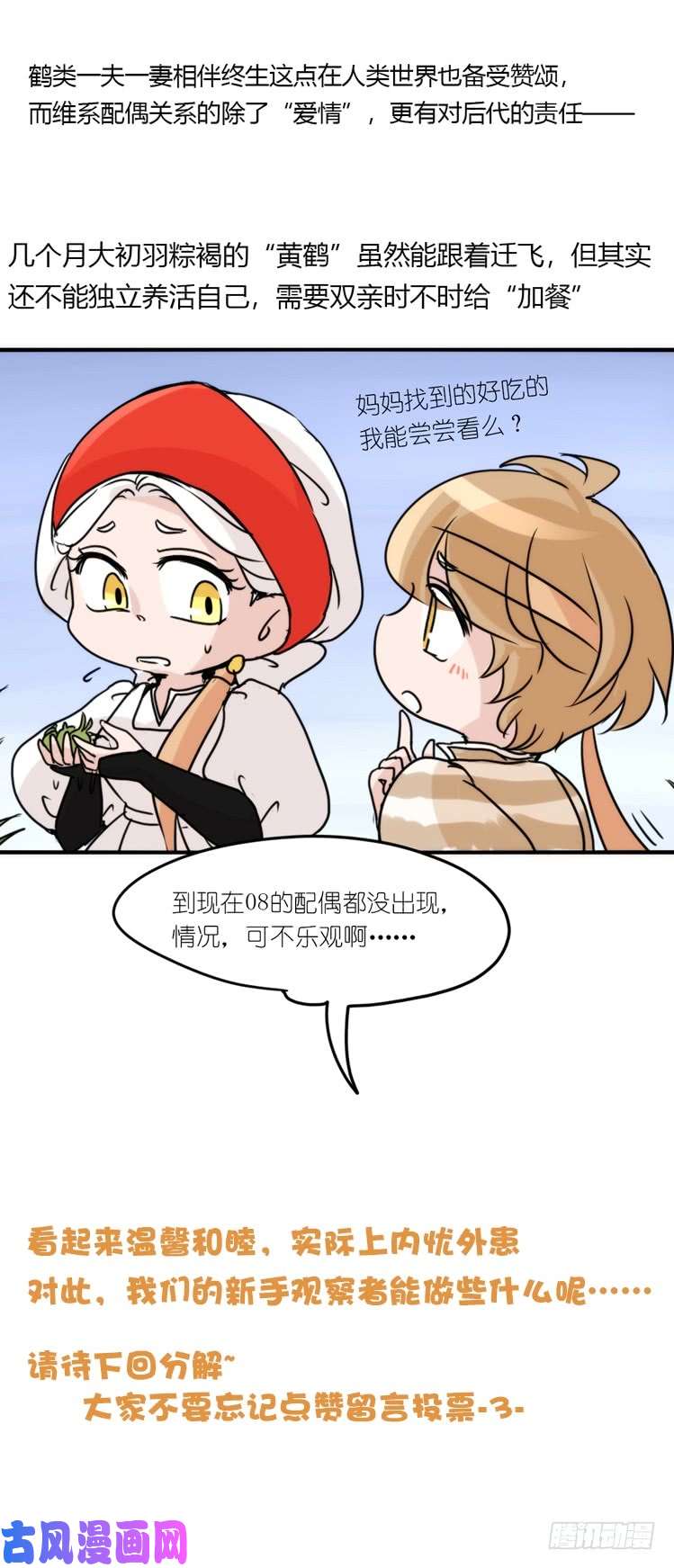进化之基使命篇14：科学观鸟法