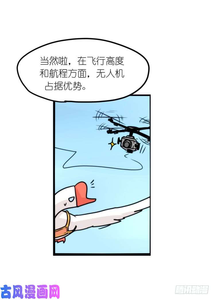 进化之基使命篇14：科学观鸟法