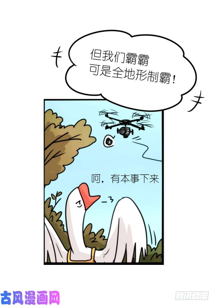 进化之基使命篇14：科学观鸟法
