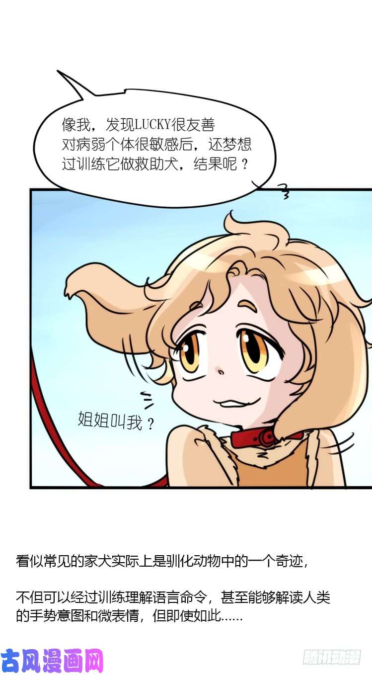 进化之基使命篇16：萌物们的新工作？