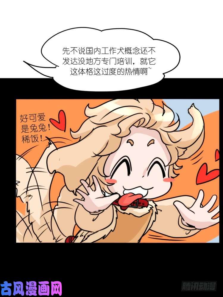 进化之基使命篇16：萌物们的新工作？