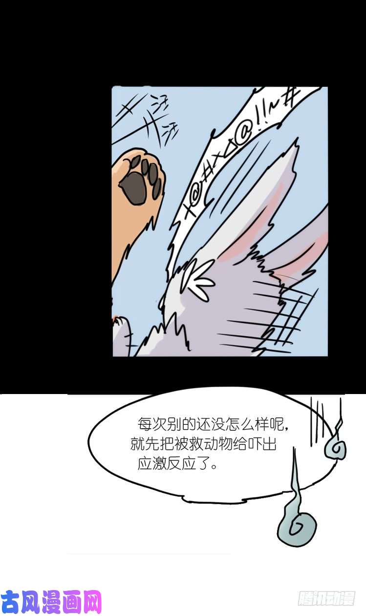 进化之基使命篇16：萌物们的新工作？