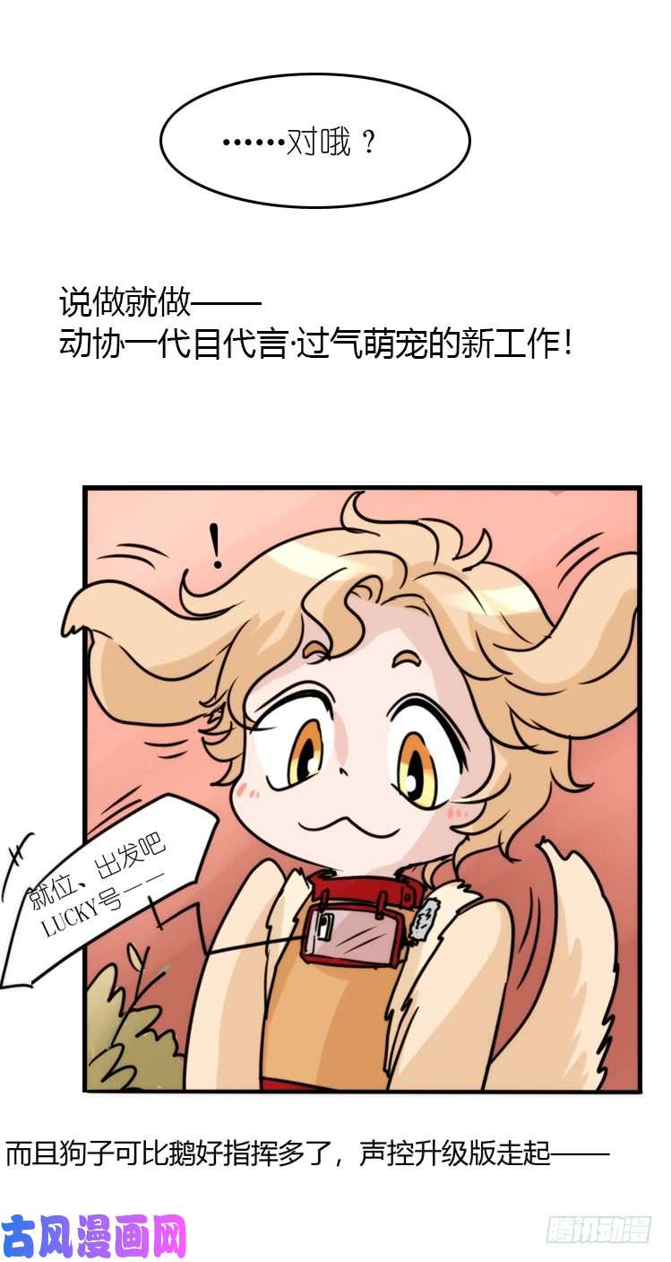 进化之基使命篇16：萌物们的新工作？