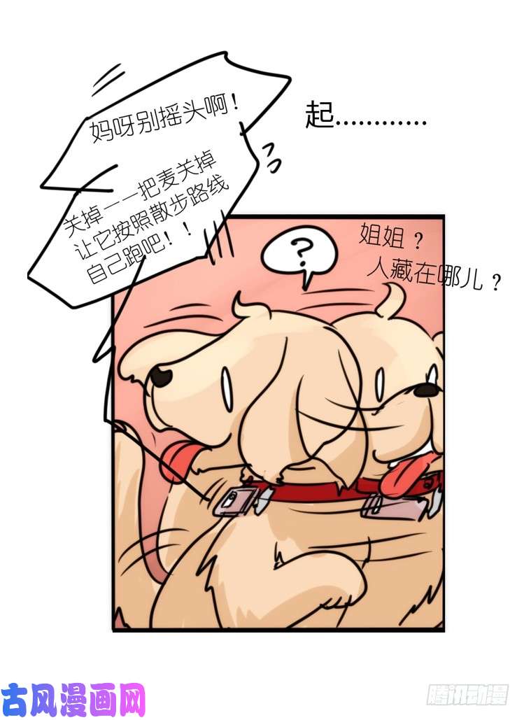 进化之基使命篇16：萌物们的新工作？