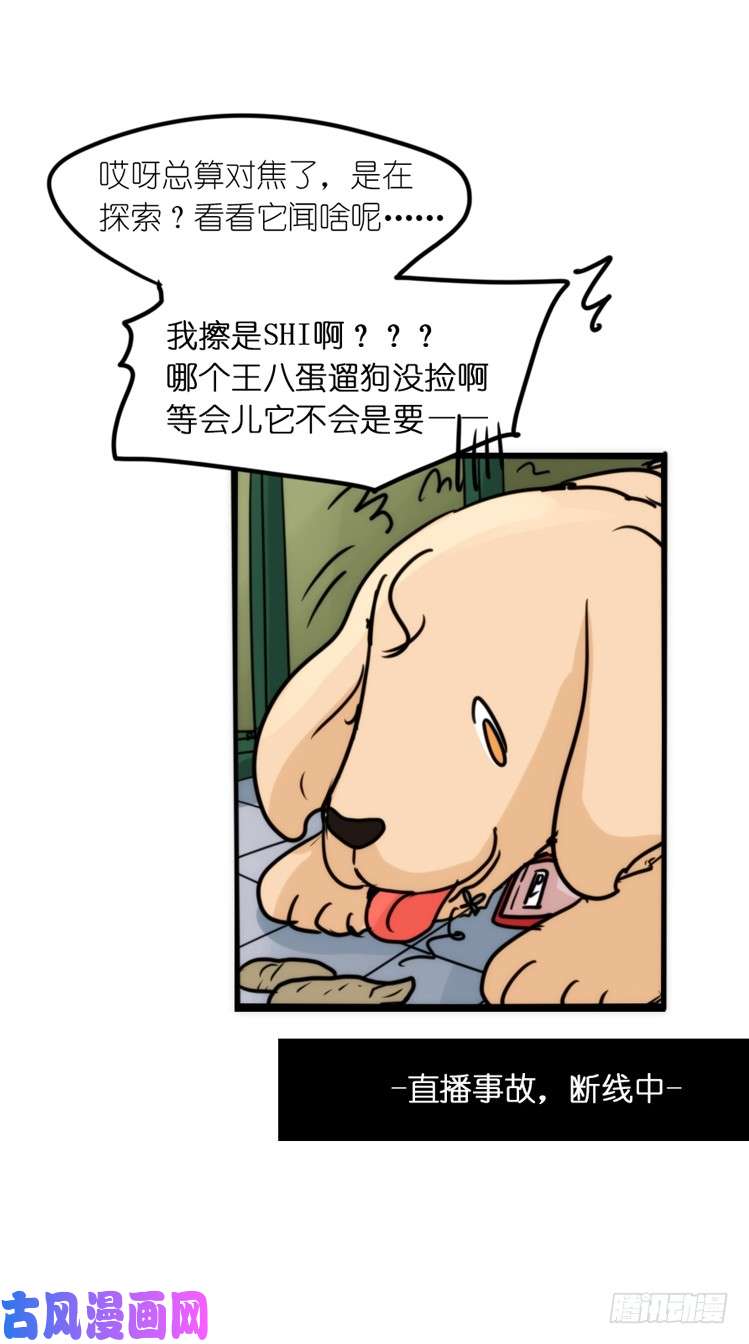 进化之基使命篇16：萌物们的新工作？