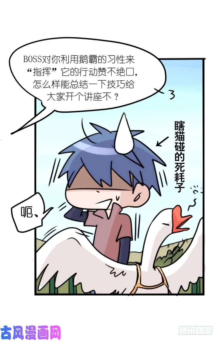 进化之基使命篇16：萌物们的新工作？