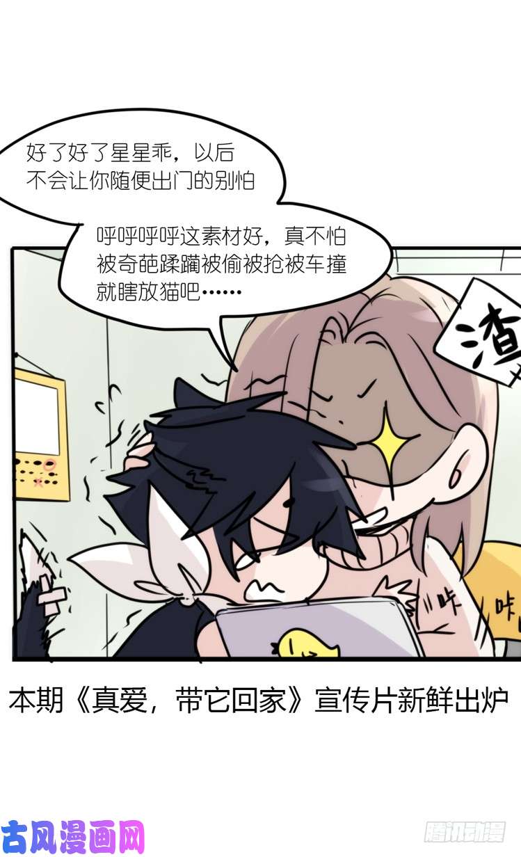 进化之基使命篇16：萌物们的新工作？