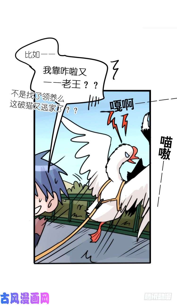 进化之基使命篇16：萌物们的新工作？