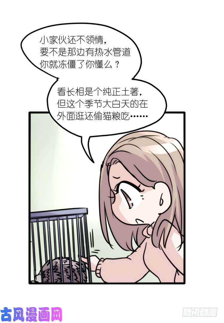 进化之基使命篇17：小客人