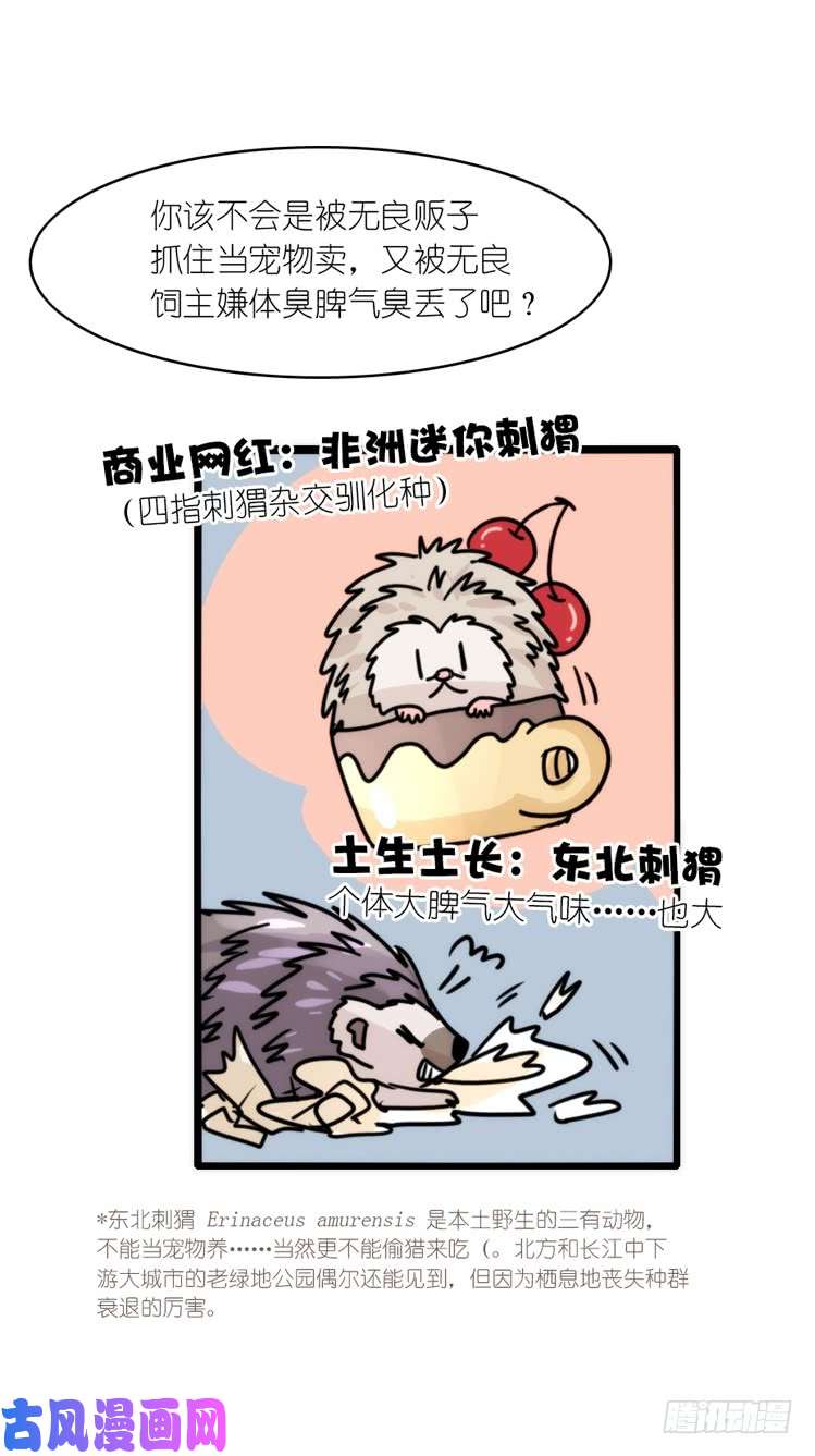 进化之基使命篇17：小客人