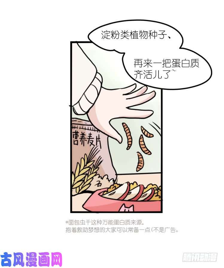进化之基使命篇17：小客人