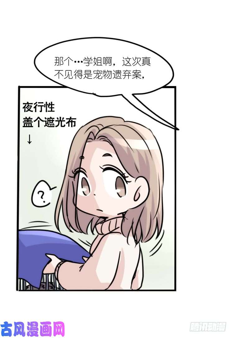 进化之基使命篇17：小客人