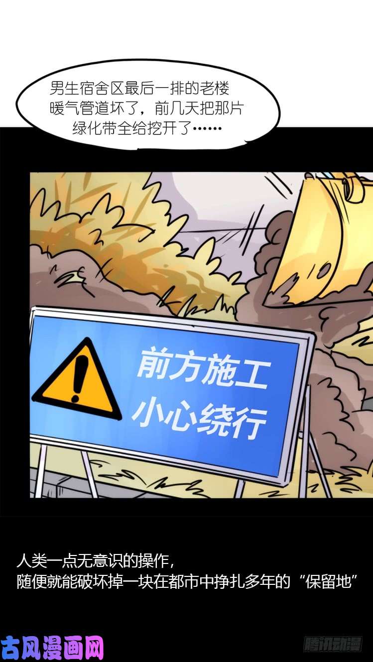 进化之基使命篇17：小客人