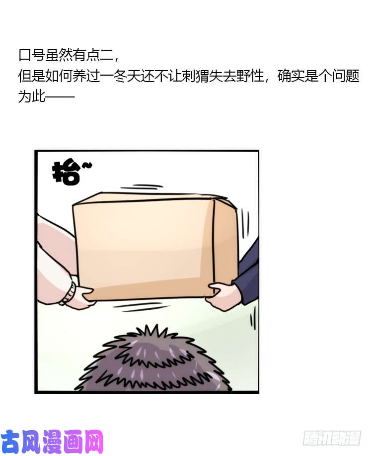 进化之基使命篇17：小客人