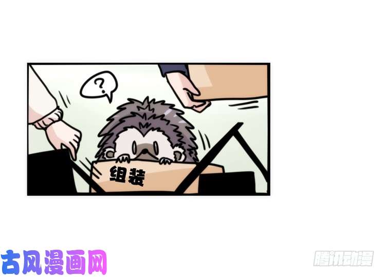 进化之基使命篇17：小客人
