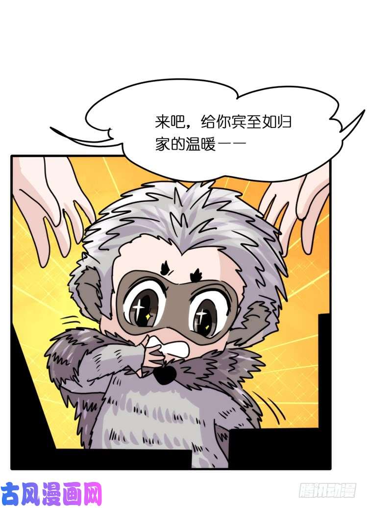 进化之基使命篇17：小客人