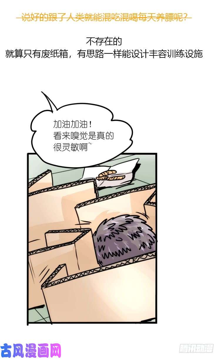 进化之基使命篇17：小客人