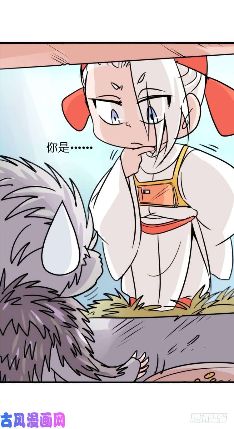 进化之基使命篇17：小客人