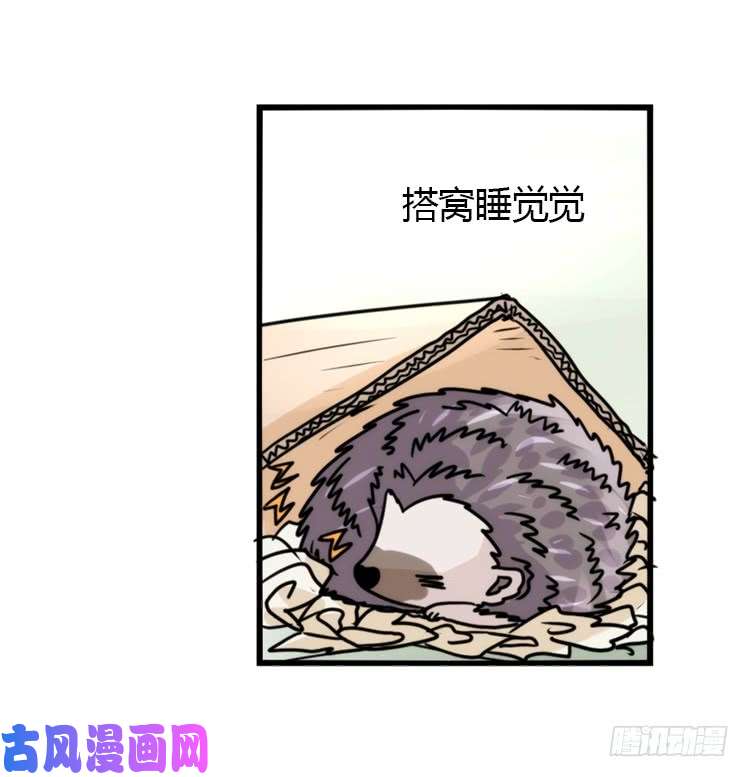 进化之基使命篇17：小客人