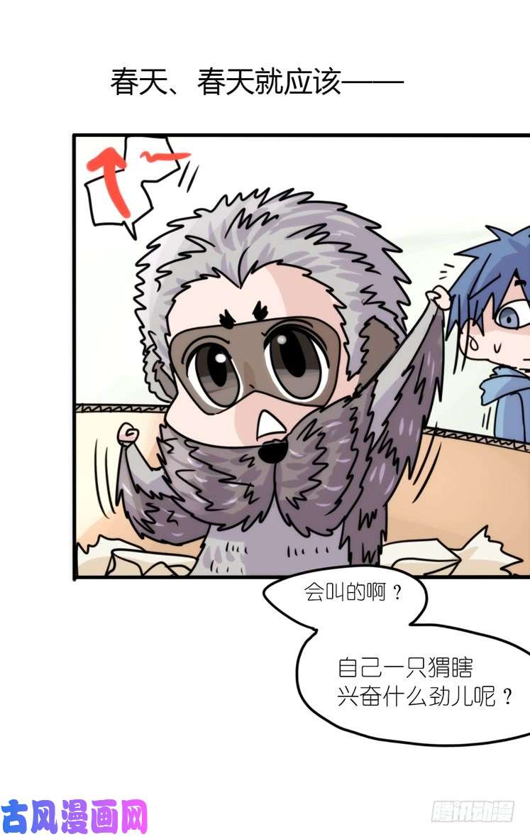 进化之基使命篇17：小客人
