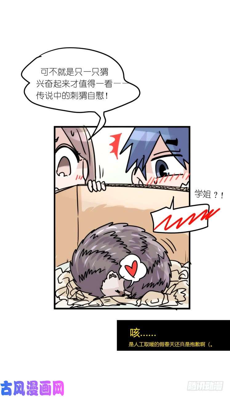 进化之基使命篇17：小客人