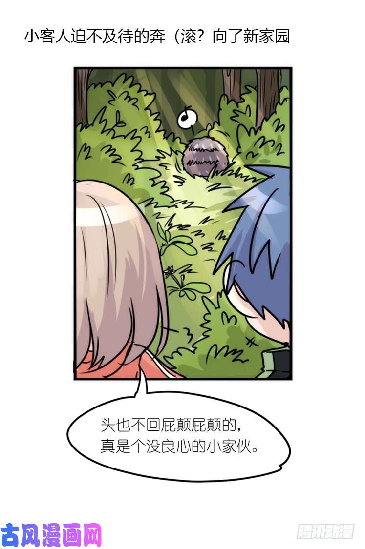 进化之基使命篇17：小客人