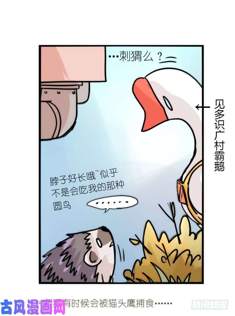 进化之基使命篇17：小客人