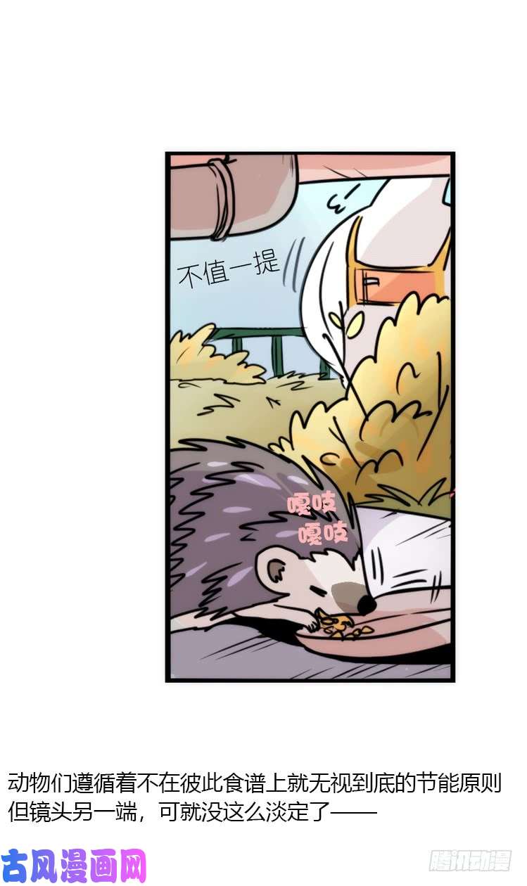 进化之基使命篇17：小客人