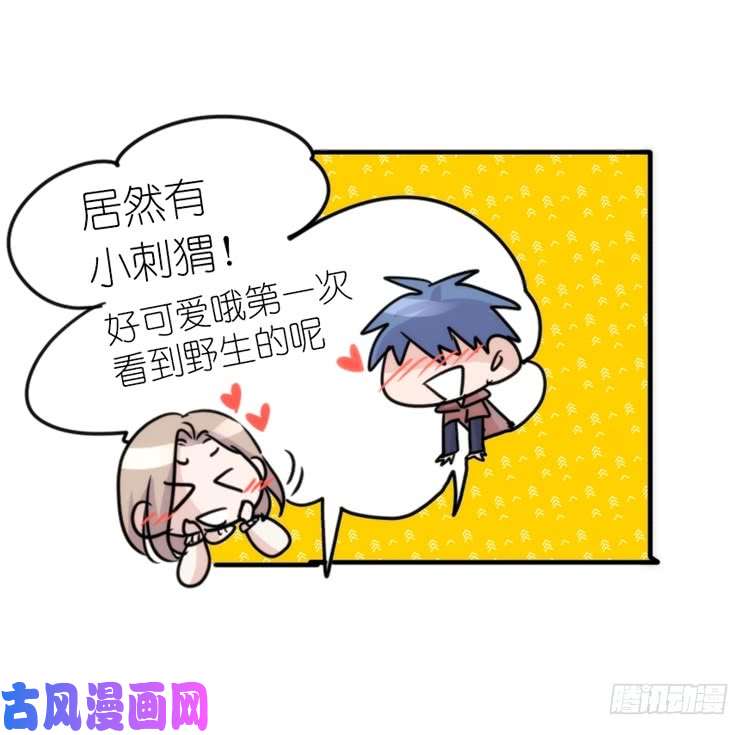 进化之基使命篇17：小客人
