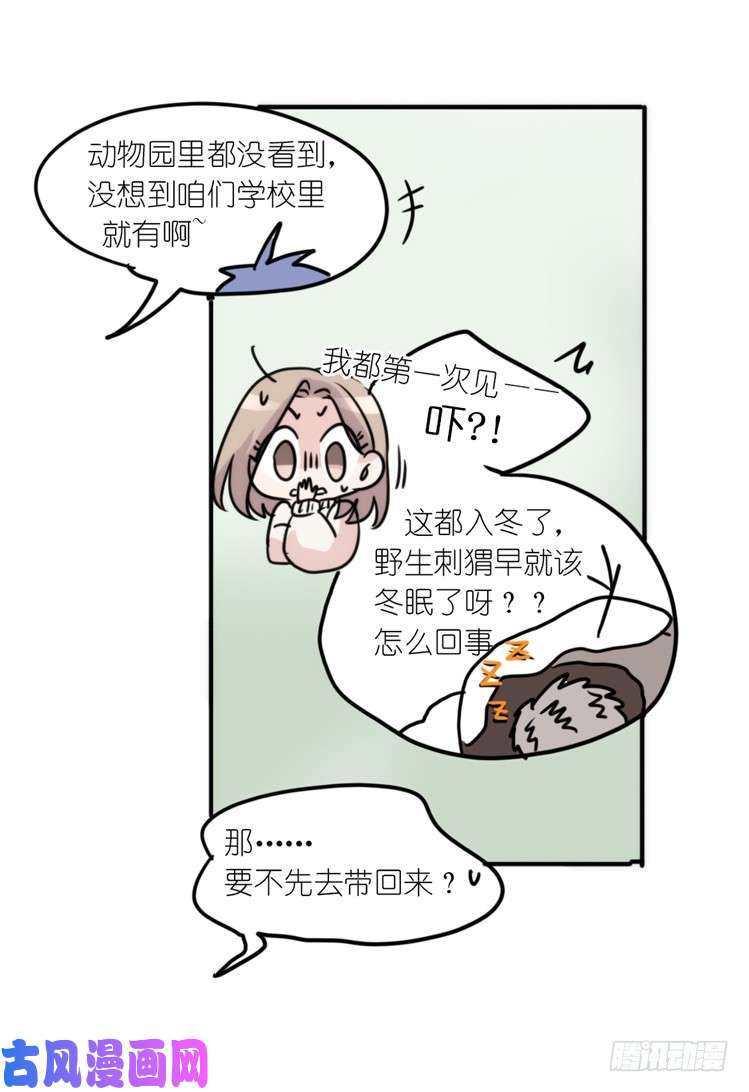 进化之基使命篇17：小客人