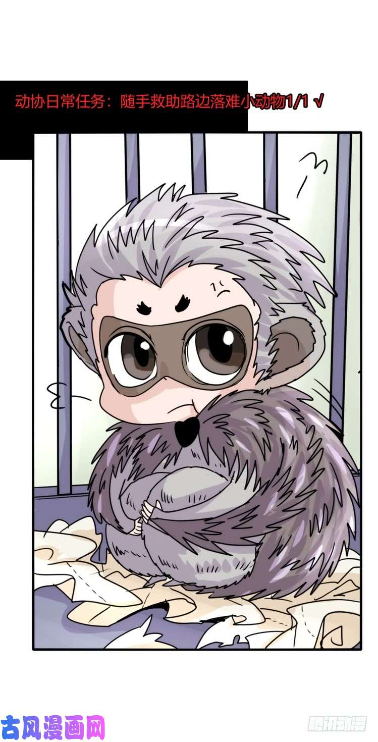 进化之基使命篇17：小客人