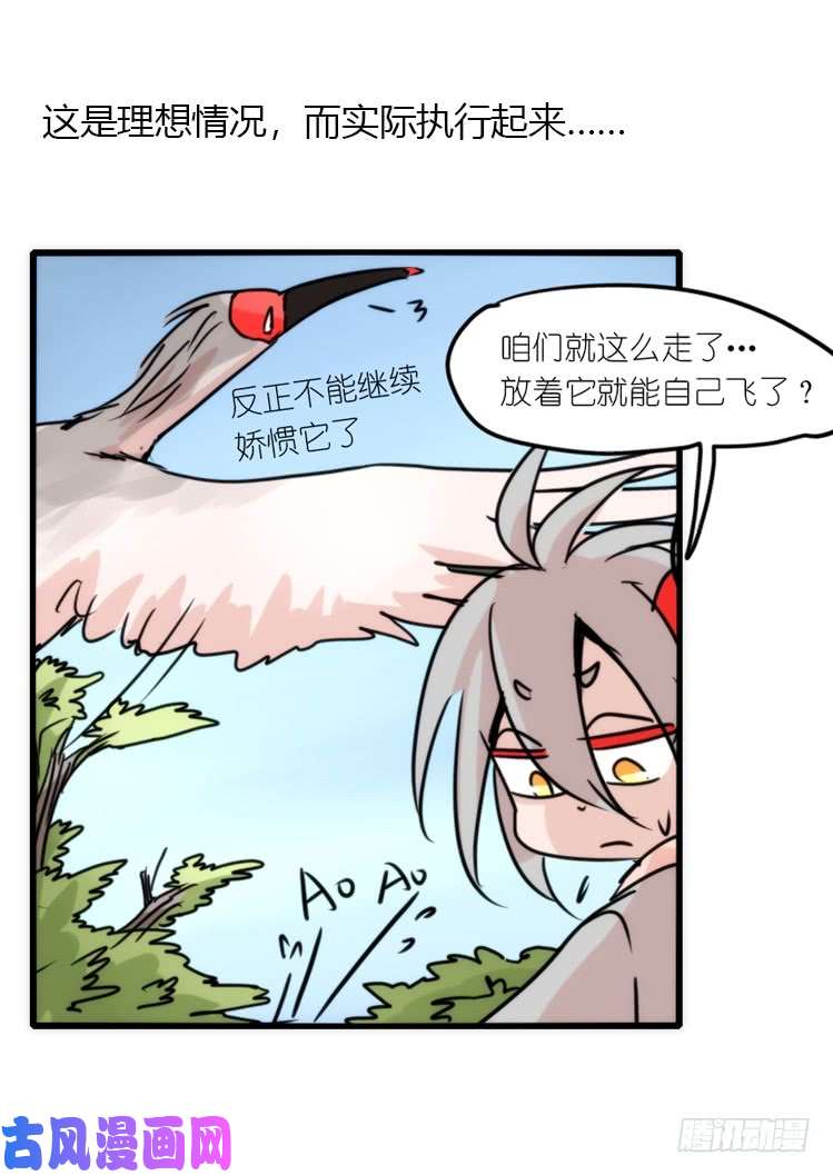 进化之基使命篇20：重振绯羽②