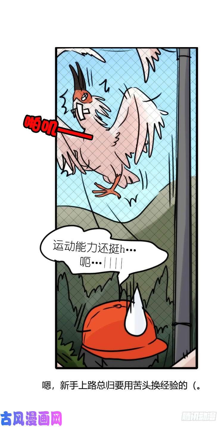 进化之基使命篇21：重振绯羽③