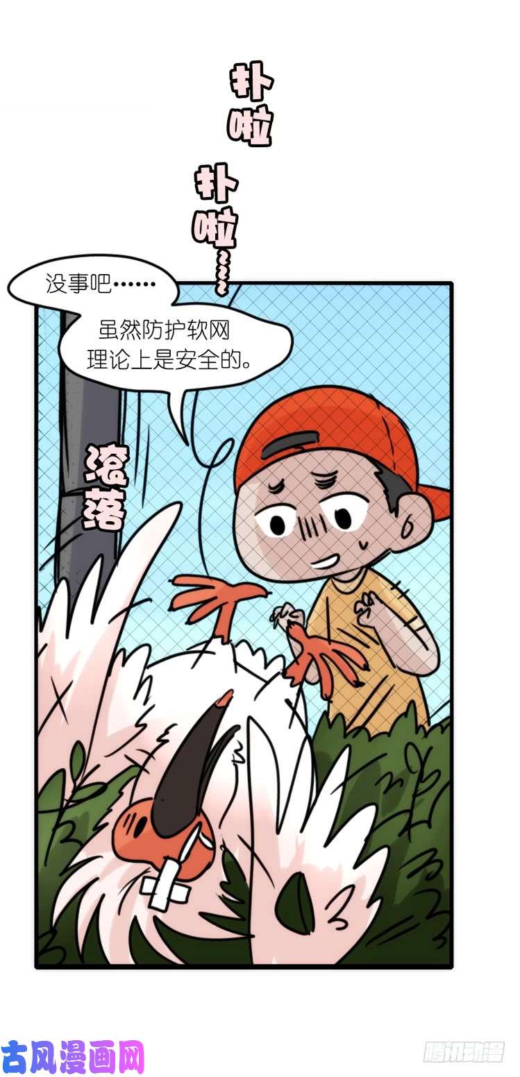 进化之基使命篇21：重振绯羽③