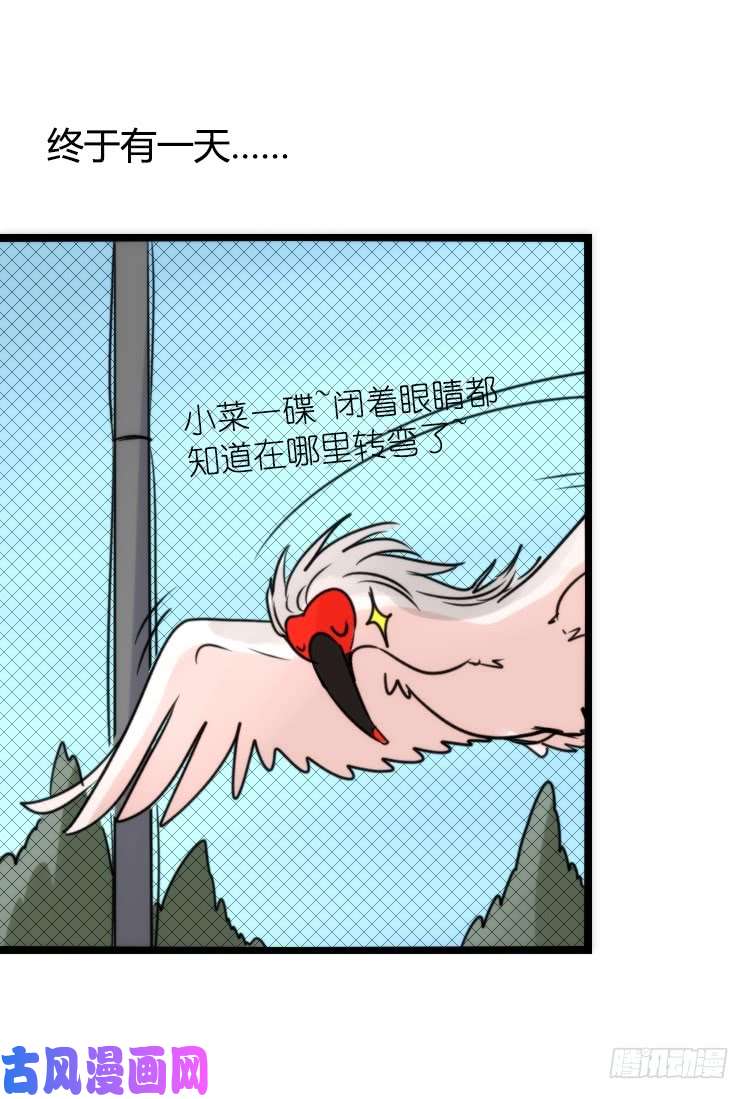 进化之基使命篇21：重振绯羽③