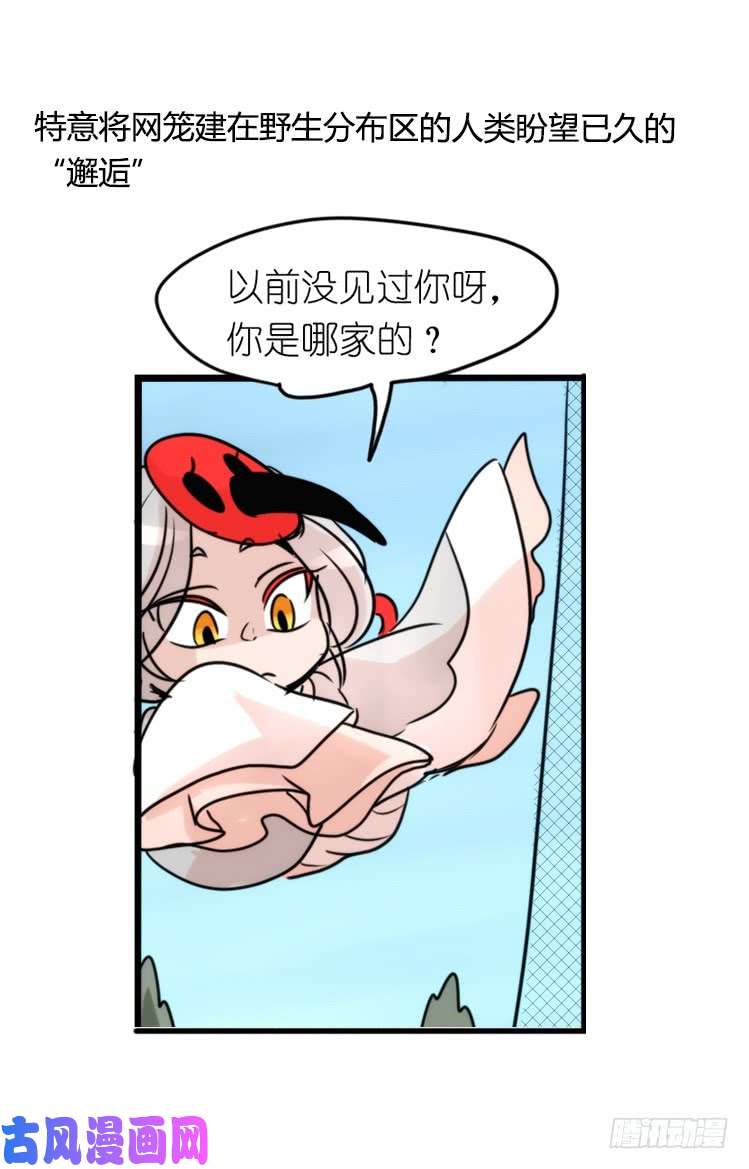 进化之基使命篇21：重振绯羽③