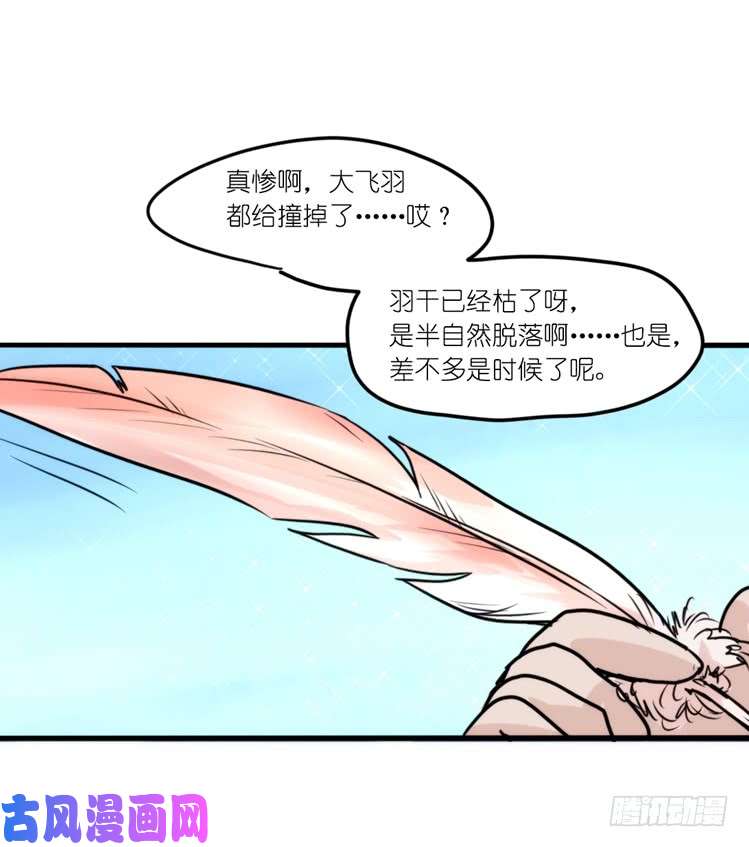进化之基使命篇21：重振绯羽③