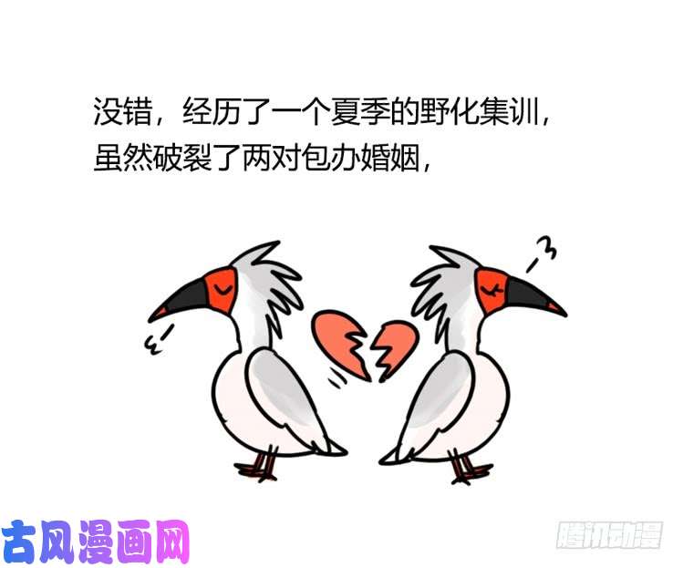 进化之基使命篇21：重振绯羽③