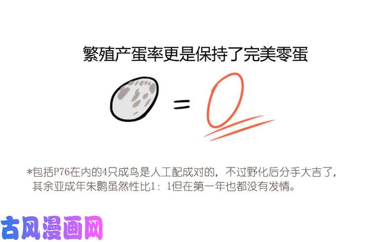 进化之基使命篇21：重振绯羽③