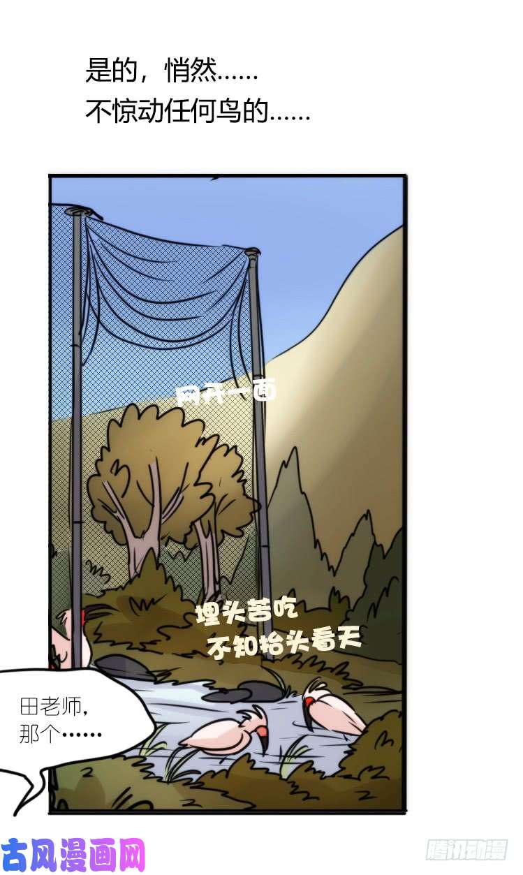 进化之基使命篇21：重振绯羽③