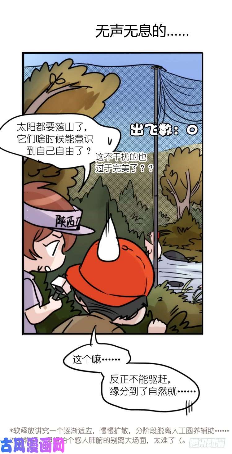 进化之基使命篇21：重振绯羽③