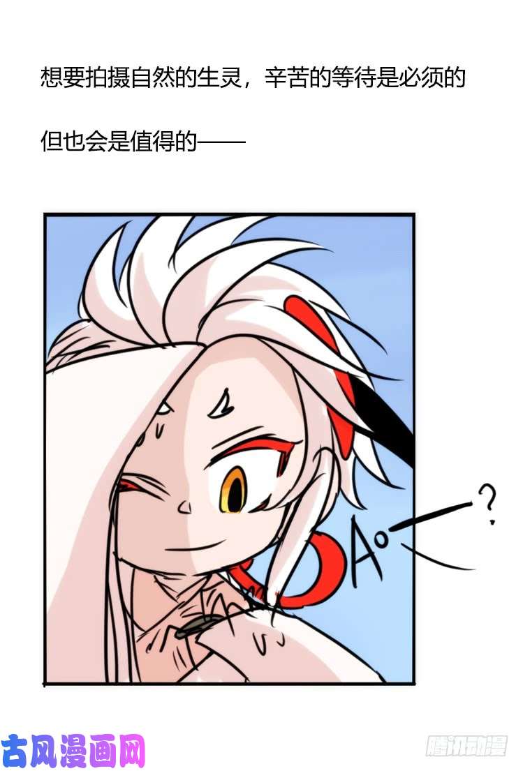 进化之基使命篇21：重振绯羽③