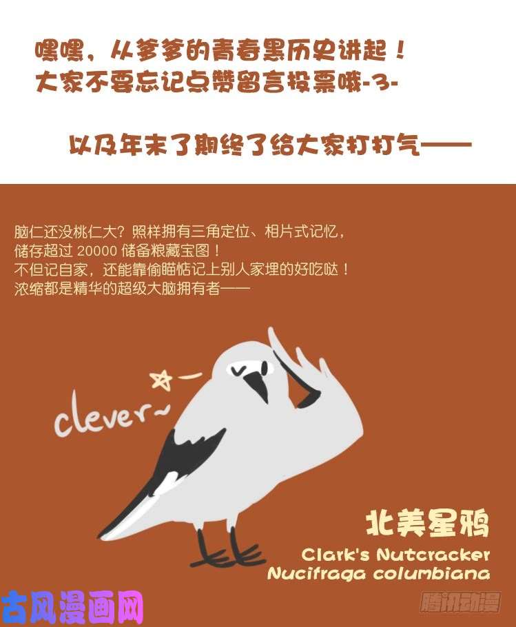 进化之基使命篇21：重振绯羽③