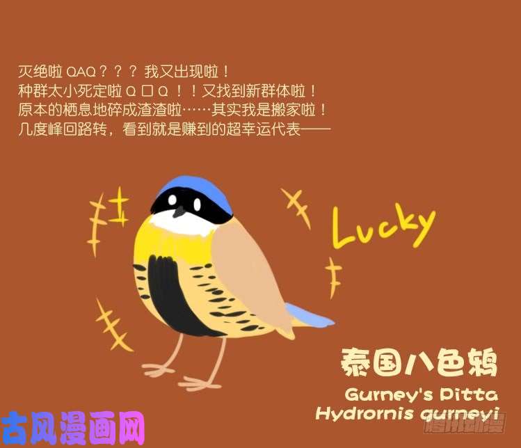 进化之基使命篇21：重振绯羽③